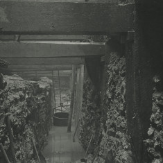 Photograph of under setting of South Quay Wall.