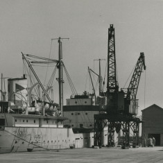 Photograph of ship "Stability" Blyth Harbour, Blyth, Northumberland