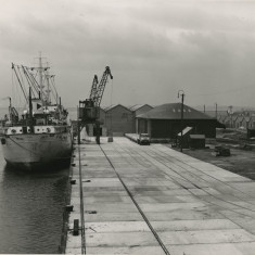 Photograph showing ship "Frederick T. Everard", Blyth Harbour, Blyth, Northumberland.