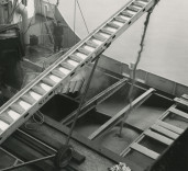 Photograph of loading of a ship, dockside, Blyth Harbour, Blyth, Northumberland