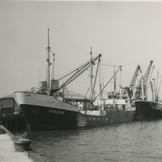 Photograph showing ships "Fivelstad", "Parnass", Blyth Harbour, Blyth, Northumberland.
